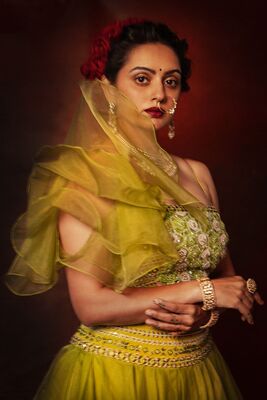 Organza Indo-Western Lehenga with Hand Embroidery