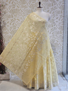 Banarasi Tissue Organza Saree  All-Over Zari Jaal with Minimal Border & Floral Pallu