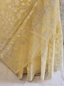 Banarasi Tissue Organza Saree  All-Over Zari Jaal with Minimal Border & Floral Pallu
