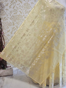 Banarasi Tissue Organza Saree  All-Over Zari Jaal with Minimal Border & Floral Pallu