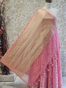 Banarasi Tissue Organza Saree  Minimalistic Floral Motifs & Soft Gold Zari Border