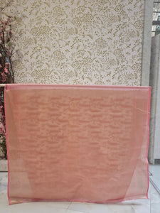 Banarasi Tissue Organza Saree  Minimalistic Floral Motifs & Soft Gold Zari Border