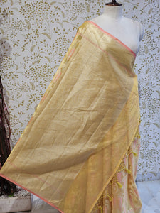 Banarasi Tissue Organza Saree  Minimalistic Floral Motifs & Soft Gold Zari Border