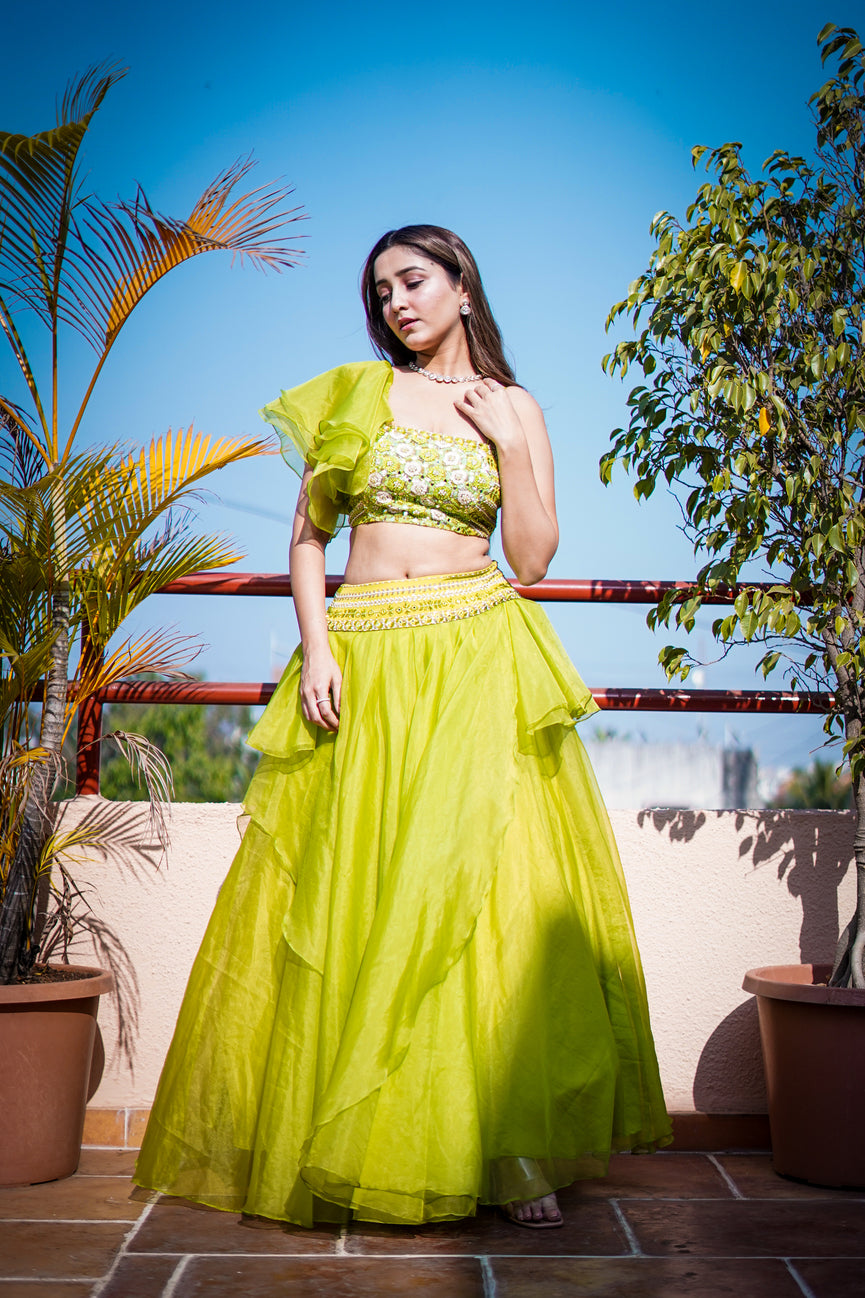 Organza Umbrella Style Bridal Lehenga with Hand Embroidery