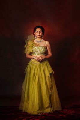 Organza Indo-Western Lehenga with Hand Embroidery