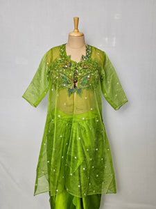 Drape Skirt with 3D Embroidered Top & Organza Jacket | Indo-Western Set