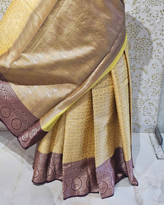 Tissue Kanjivaram Saree  Allover Jaal Design with Designer Skirt Border